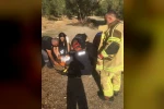 Tunceli’de trafik kazası: 5 yaralı