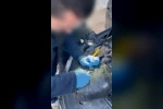 Tunceli’de uyuşturucu operasyonu: 2 şüpheli tutuklandı 