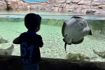 Tünel Akvaryum turistlerin gözdesi oldu