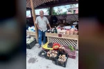 Türkeli’de kestane ve fesleğen mantarı tezgahlarda