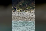 Türkeli’de kıyıya vuran şüpheli cisim korkuttu