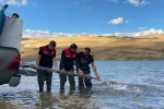 Türkiye nüfusu kadar balık deniz ve göllere bırakıldı