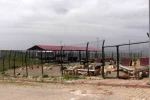 Türkiye’ye örnek model: Siirt’ten sokak hayvanları sorununa kalıcı çözüm