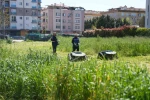 Tuzla’da robotlu çim biçme dönemi başladı