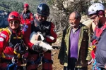 Uçurumdan düşen kuzuyu ekipler kurtardı