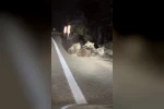 Uludağ’da vahşi doğanın en tatlı anı... Anne ayı yavrularını emzirirken görüntülendi