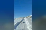 UMKE ekiplerinin hasta yolculuğuna kurt eşlik etti