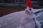 Urla’da kar yağışı etkili oldu