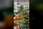 Üsküdar Belediyesi’nin ruhsat verdiği inşaat alanında ağaçlar kesildi