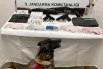 Uyuşturucu operasyonlarında 9 kişi gözaltına alındı