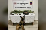 Uyuşturucu operasyonunda 1 kişi tutuklandı