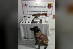 Uyuşturucu operasyonunda 8 kişi gözaltın a alındı