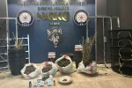 Uyuşturucu operasyonunda bir tutuklama
