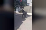 Uyuşturucudan 25 yıl kesinleşmiş hapis cezası bulunan şahıs yakalandı