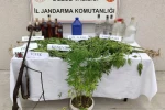 Uyuşturucudan 78 şahsa işlem yapıldı, 7 kişi tutuklandı