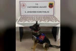 Uyuşturucuyla yakalanan şahıs utuklandı