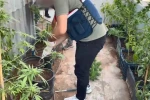 Uyuşturucuyu saksılara ekip evinin çevresine yerleştirmiş 