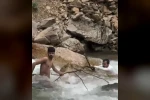 Uzungöl’de Haldizen Deresi’nde can pazarı