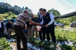 Vali Sözer, çilek hasadına yaptı