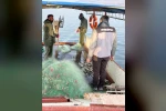 Van Gölü’nde balıkçılık denetimi yapıldı