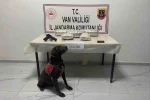 Van’da 4 kilo 311 gram skunk ve gümrük kaçağı malzeme ele geçirildi