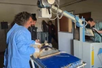 Van’da deprem sonrası enkaz altından yaralı çıkarılan kuzular tedavi altına alındı