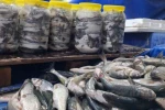 Van’da havaların soğumasıyla inci kefaline ilgi arttı 