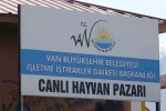 Van’da hayvan pazarında silahlı kavga: 1 ölü, 13 yaralı