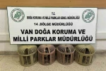 Van’da kaçak avcılığa 51 bin 878 TL ceza