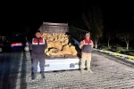 Van’da kaçak avlanan 800 kilo balık ele geçirildi