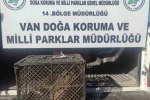 Van’da kafes avcılığı yapan şahsa 53 bin lira cezai işlem uygulanacak