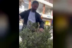 Van’da refüjdeki çiçek ve fidanlara zarar veren şahıs suçüstü yakalandı