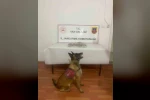 Van’da uyuşturucu madde ele geçirildi