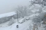 Van’ın Bahçesaray ilçesinde kar etkili oldu