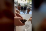 Vatandaşlar sıcaktan bitkin düşen ebabil kuşuna su verdi