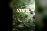 Vestel, CDP Küresel A Listesi’nde yer aldı