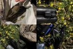 Yaban keçisi vuran 2 şahsa 981 bin TL ceza