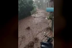 Yahyalı’da yağış sele neden oldu, evler araçlar zarar gördü