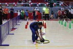 Yalova Çocuk Oyunları Şenliği renkli görüntülere sahne oldu