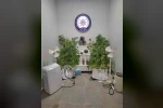 Yalova’da saklandığı evde uyuşturucu yetiştiren hükümlü yakalandı