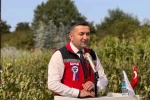 Yalova’nın coğrafi işaretli meyvesi aronyada hasat sevinci