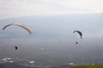 Yanan ormanlar için gökyüzünden paraşütle tohum yağdı