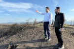 Yangın alanları yeşile bürünüyor