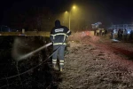 Yangında alevlerin arasında kalan kaplumbağayı polis ekipleri kurtardı