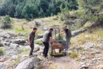 Yaralı dağ keçisi tedavisinin ardından doğaya bırakıldı