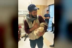 Yaralı hamile tavşan, devlet hastanesi bahçesinde tedavi edildi
