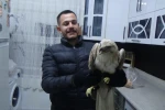 Yaralı şahini evine götürdü ve ekiplere teslim etti