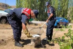 Yaralı tilki koruma altına alındı