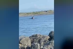 Yasağı dinlemeyip Kızılırmak’ta ağ serdiler