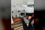 Yasal boy sınırlarının altında avlanılan lüfer ve istavritlere el konuldu